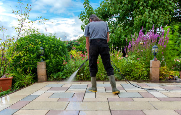 Best Driveway Pressure Washing  in Winsted, CT